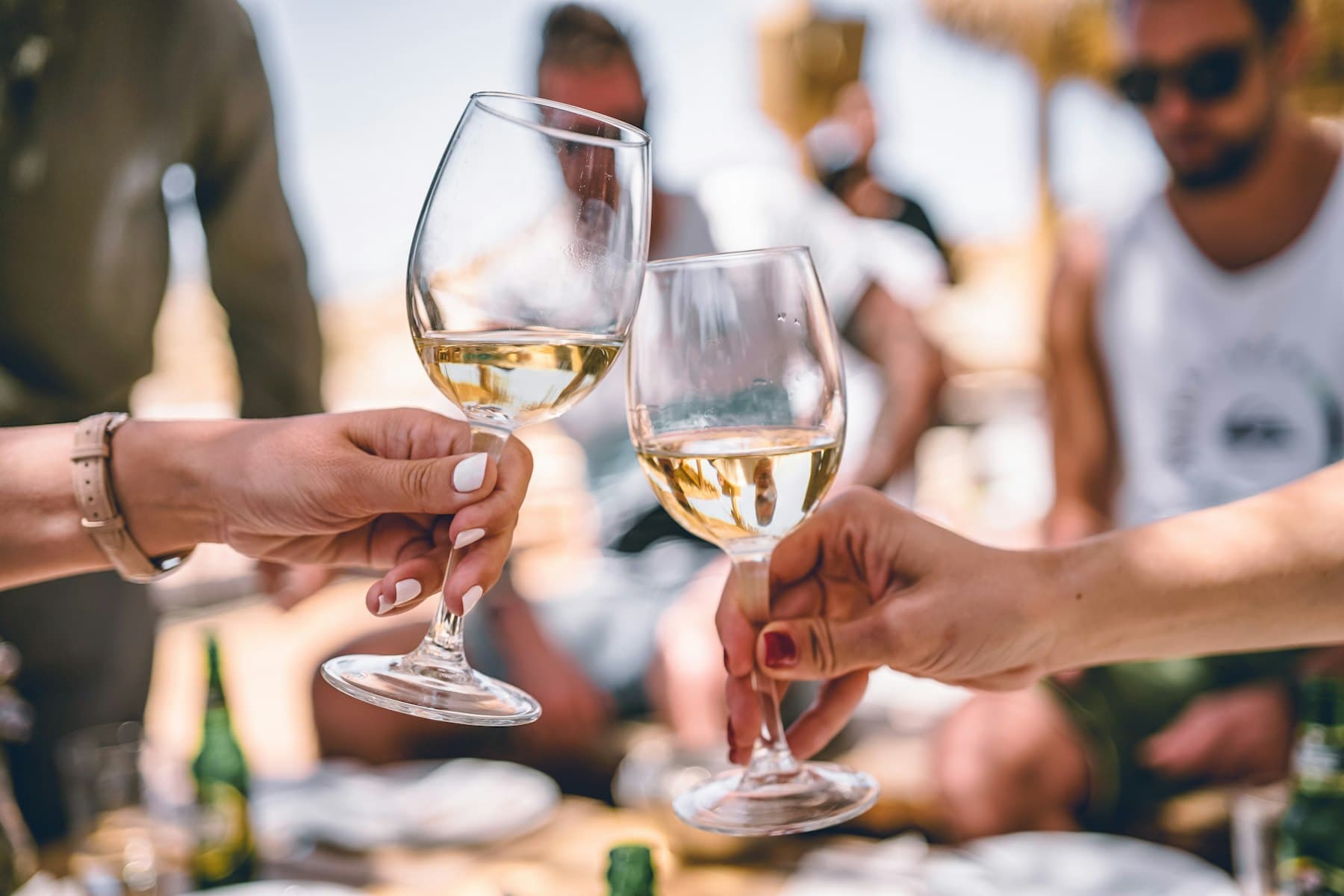 Guests raise glasses during a bright social wine tasting.