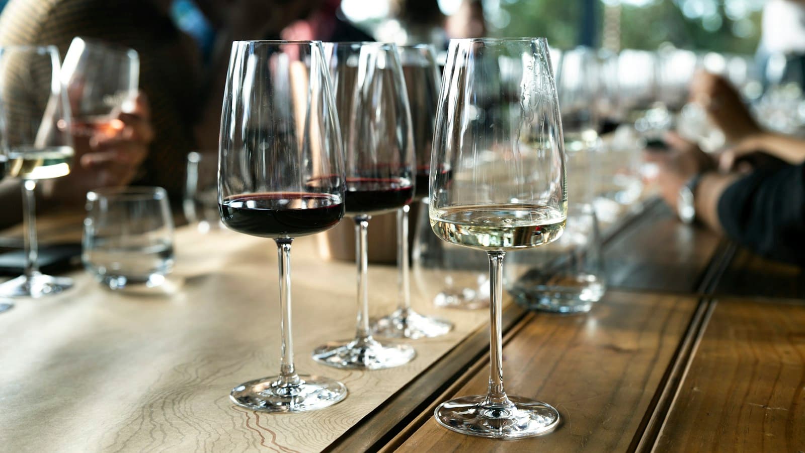 Red and white wine pours arranged along a tasting table